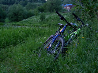 The bike is lying on the grass in the meadow.