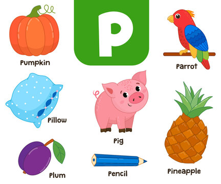 English alphabet in pictures — Children's colored letter P — vector illustration