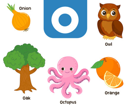 English alphabet in pictures — Children's colored letter O — vector illustration
