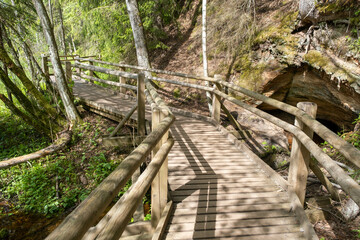 Eco path wooden walkway in park of Latvia. Ecological trail path route walkways laid in the forest. Travel photo, nobody, selective focus.