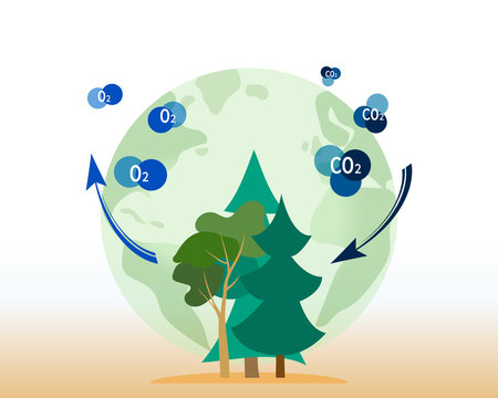 Concept problem of carbon on Earth.  Trees releasing oxygen and absorbing carbon dioxide, environmental protection, planting trees on earth. Big green trees and O2 and CO2 molecules
