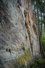 sandstone cliffs is approximately one kilometre long and is located on the left side of the primeval valley of the River Gauja. Latvia