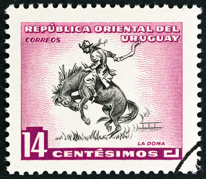 Taming A Horse (Uruguay 1954)