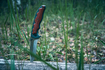 Naklejka premium Tactical knife for survival and protection difficult conditions stuck into trunk tree in forest.