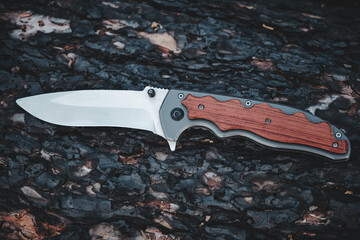 Tactical knife survival and protection difficult conditions, lies trunk tree in forest.