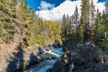 Stunning landscape views in Canada during fall with waterfall and spruce, boreal forest trees. 