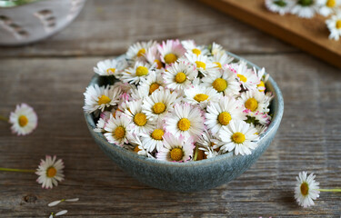 Fototapeta na wymiar Common daisy flowers in a bowl