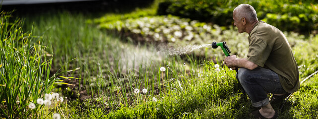 Farmer with garden hose and gun nozzle watering vegetable plants in summer. Gardening concept. Agriculture plants growing in bed row