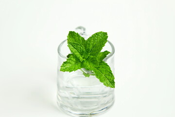 fresh mint leaf herb in jar on white background,mint leaves isolated with text copy space,selective focus
