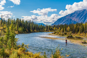 One person fishing in northern Canada during fall with scenic mountains in the background.  - obrazy, fototapety, plakaty