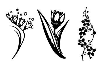 Fototapeta premium Set of three editable vector clipart flowers. EPS10