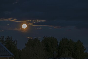 Beautiful nature landscape view of bright moon in night cloudy sky over green trees tops. Sweden. 