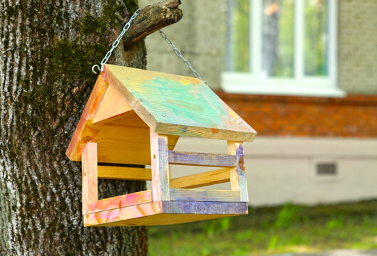 wooden bird feeder close up outdoor photo. High quality photo
