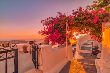 Summer sunset vacation scenic of luxury famous Europe destination. White architecture in Santorini, Greece. Stunning travel scenery with pink flowers chairs, terrace sunny blue sky. Romantic street
