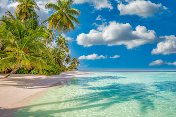 Beautiful tropical island beach, seaside, paradise coast with coconut palm trees white sand,...