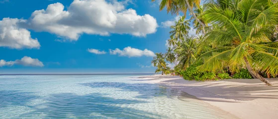 Crédence de cuisine en verre imprimé Bora Bora, Polynésie française Belle plage de l& 39 île. Paysage tropical d& 39 été pittoresque, sable blanc, palmiers, mer. Destination de vacances de voyage de luxe. Ciel ensoleillé de côte de plage exotique. Nature étonnante relaxez le modèle de la nature de la liberté