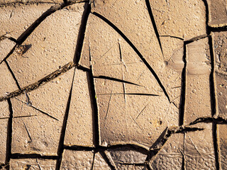 An image of cracked, dry earth. A bad harvest, a drought. Abstract natural background.