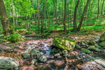 Cascades on clear creek in forest. Summer mountain stream landscape, soft sunlight. Hiking and travel outdoors adventure woodland, calm creek. Serene nature closeup, rocks, moss fresh green trees