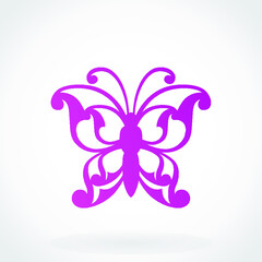 beautiful ornamental butterfly