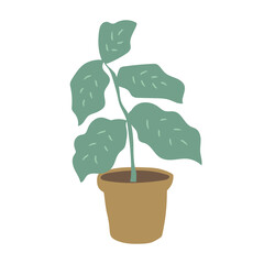 plant in a pot