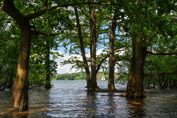 Brucher reservoir, Marienheide, Bergisches Land, Germany