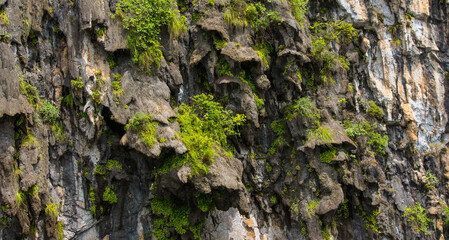 nature photograph of an impressive rock formation full of plants on the side of the li river in the guilin region of china that could be used as a wallpaper
