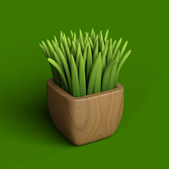 green grass in a pot isolated on green
