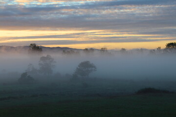 New Zealand, Neuseeland, North Island, Nordinsel, Te Kauwhata, Nebel, Fog, Mist