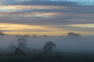 New Zealand, Neuseeland, North Island, Nordinsel, Te Kauwhata, Nebel, Fog, Mist