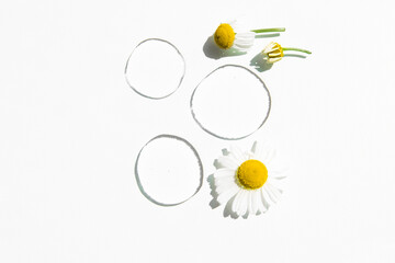 Liquid transparent cosmetic drops with chamomile flowers on a white background. Trajan medicine,...