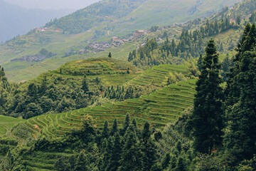 Fototapeta premium Panoramic landscape photography of the Longji Rice Terraces located in Longsheng County, near Guilin, Guangxi, China.