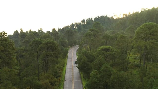 Bosque Ajusco Ciudad de Mexico