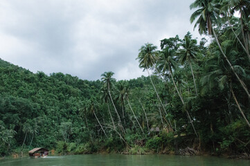 traditional raft boat on a jungle green river Loboc at Bohol island of Philippines