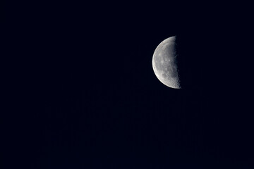 Half Moon with Copy Space