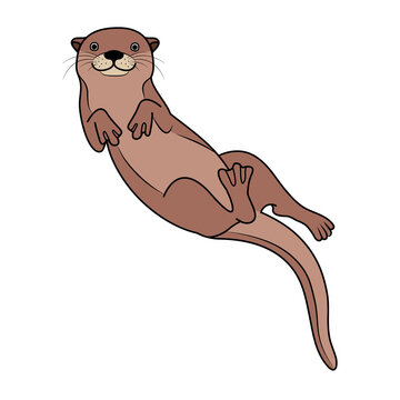  Happy cute otter swimming underwater and smiling to you.Vector hand drawn animal illustration solated on white background.