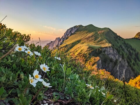 last rays of sun on the bockmattli mountain, bockmattlistock in the canton of glarus,schwyz.Sunset hike in the mountains