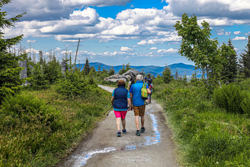 Obraz premium Rund um den Dreisesselber im Bayerischen Wald, Wanderer
