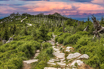 Dreisessel, Dreisesselberg im Bayerischen Wald