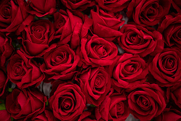 bouquet of red roses