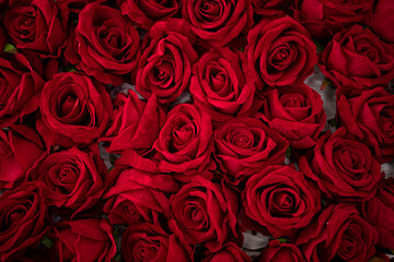 red roses background. Mother day. Love concept. 