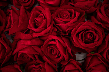 bouquet of roses. Valentine day. Red flowers. Gift. Love concept. Photo. Background. 