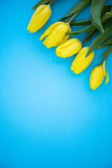 bouquet of yellow tulips