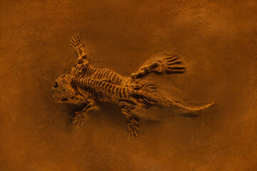 Ancient lizard skeleton fossilized on orange sand. Excavation and fossil. Archaeology. Dinosaur Bones