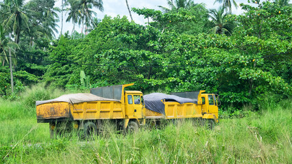 Dump trucks on the edge of the rainforest. Sri Lanka
