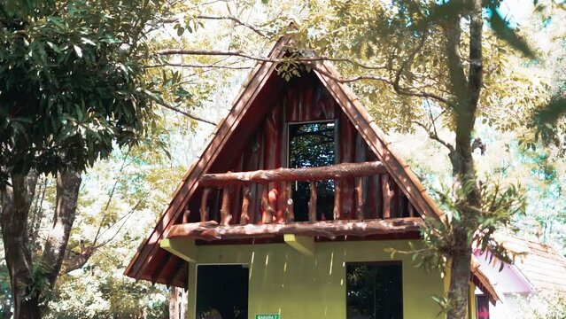Log cabin in the summer forest in Paraguay. Vacation home with friends and family surrounded by trees