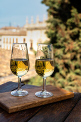 Tasting of Spanish sweet and dry fortified Vino de Jerez sherry wine with view on roofs and houses of old andalusian town