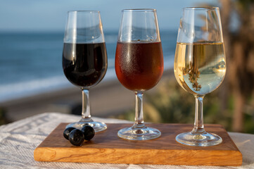 Tasting of Spanish sweet and dry fortified Vino de Jerez sherry wine and green olives with view on blue sea near El Puerto de Santa Maria, Andalusia, Spain