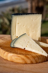 Spanish hard manchego, cow, sheep and goat cheese served outdoor in morning sunlights