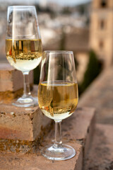 Tasting of sweet and dry fortified Vino de Jerez sherry wine with view on roofs and houses of old andalusian town