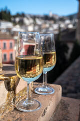 Tasting of sweet and dry fortified Vino de Jerez sherry wine with view on roofs and houses of old andalusian town